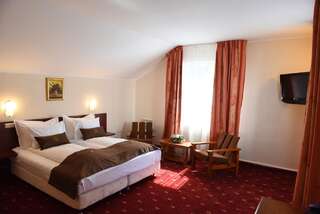 Отель Hotel Fantanita Haiducului Bradu Представительский двухместный номер с 1 кроватью или 2 отдельными кроватями-2