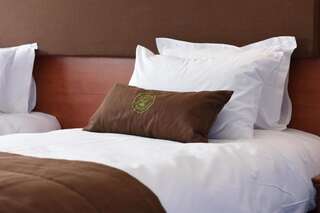 Отель Hotel Fantanita Haiducului Bradu Двухместный номер с 1 кроватью или 2 отдельными кроватями-4